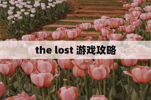 the lost 游戏攻略